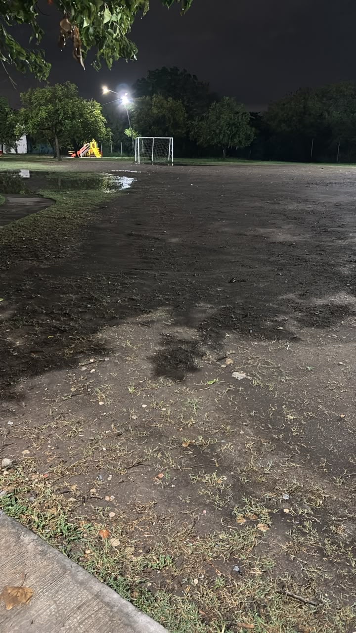 La cancha