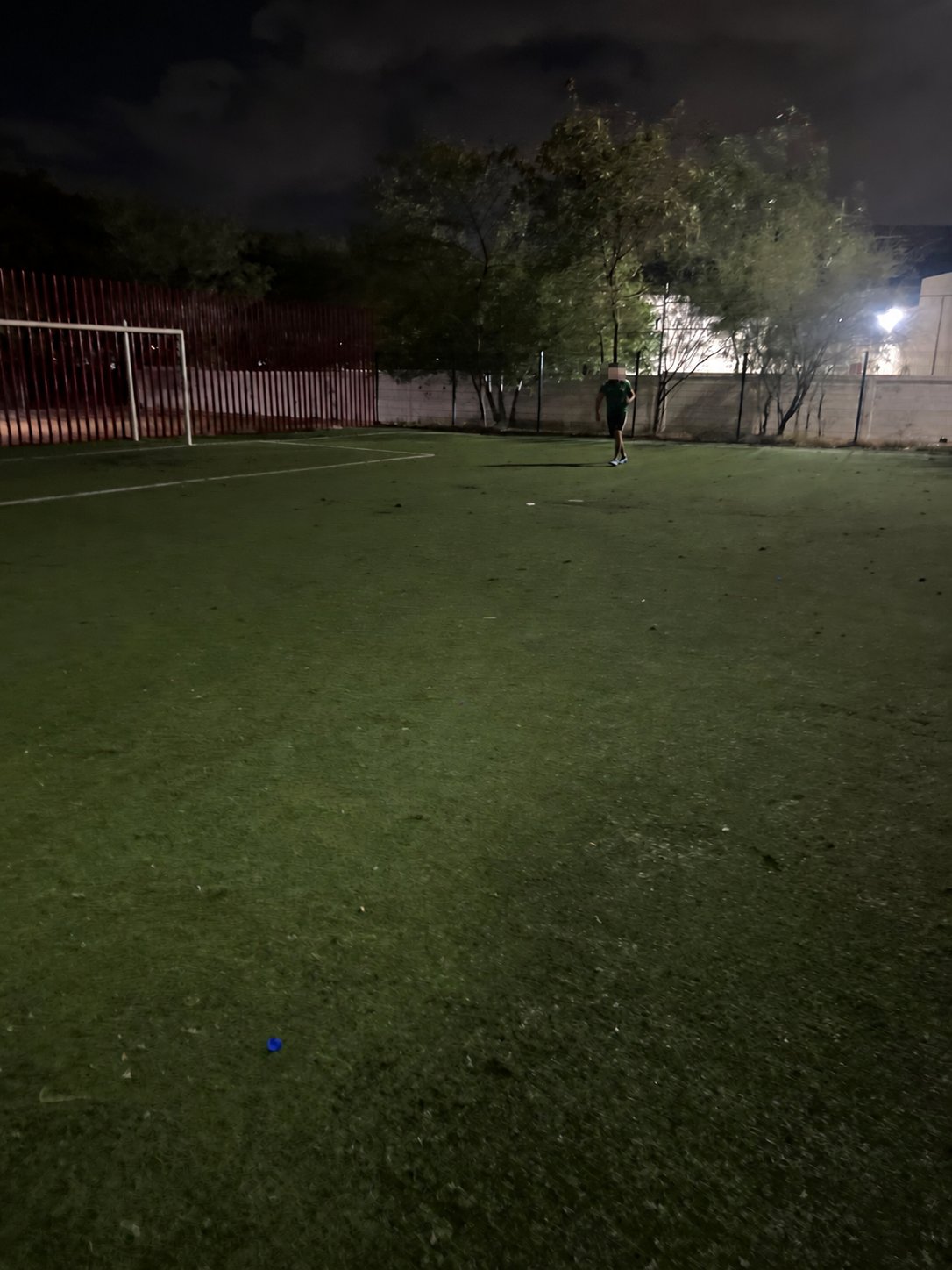 La cancha