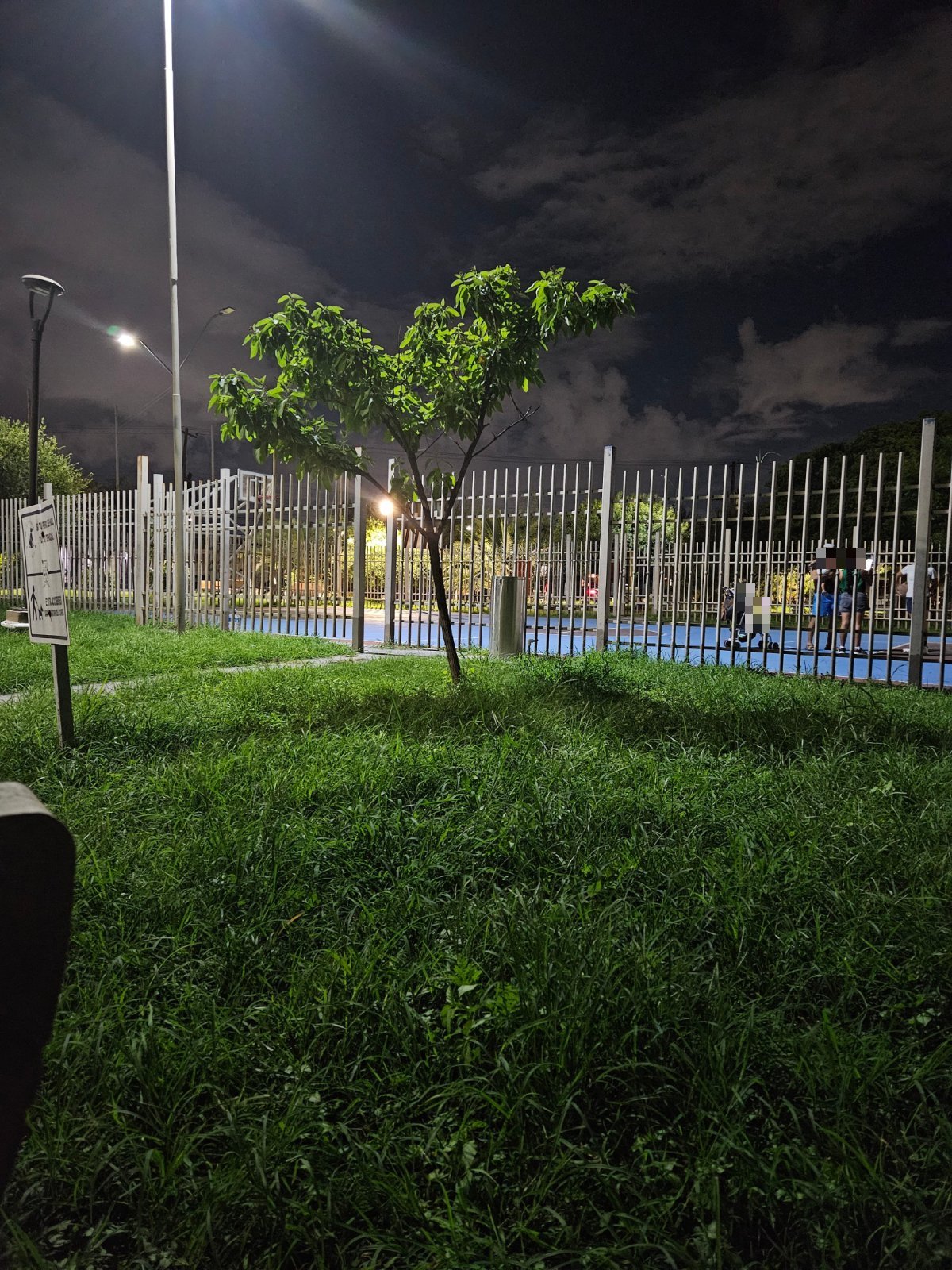 La cancha
