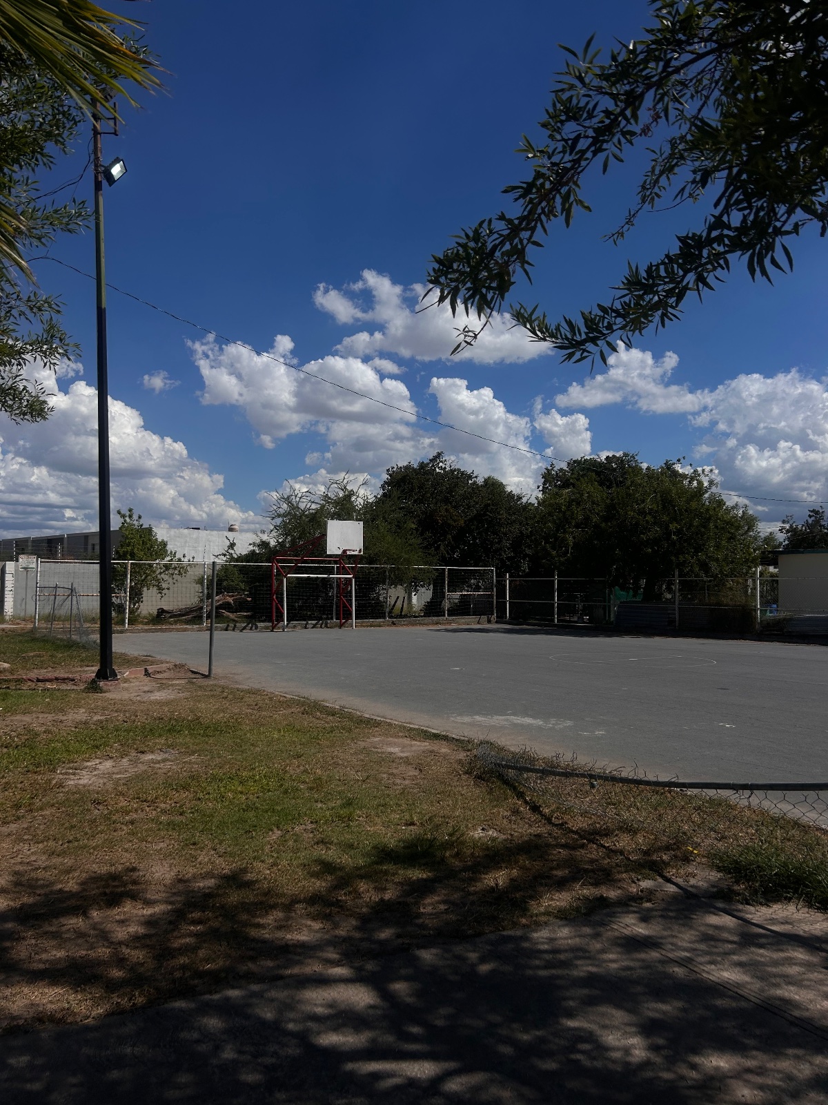 La cancha